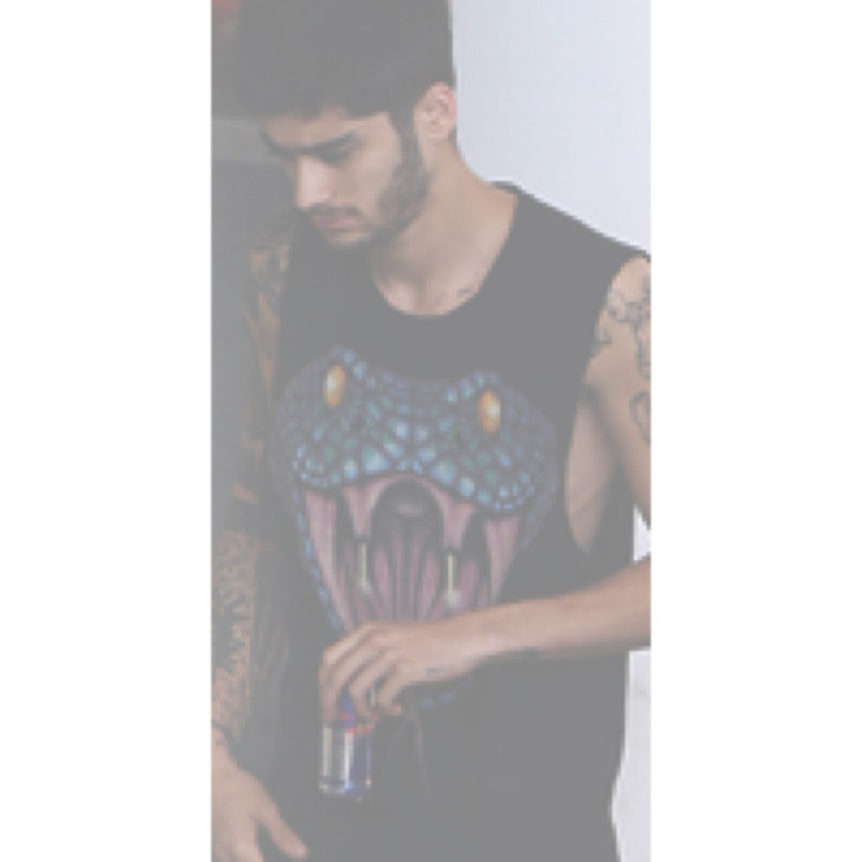 ♡ 8/10/13 i saw the loves of my life in concert ♡
