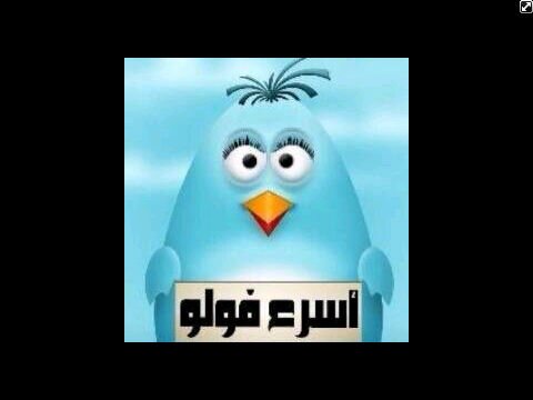 لزيادة متابعيك فلو+رتويت
