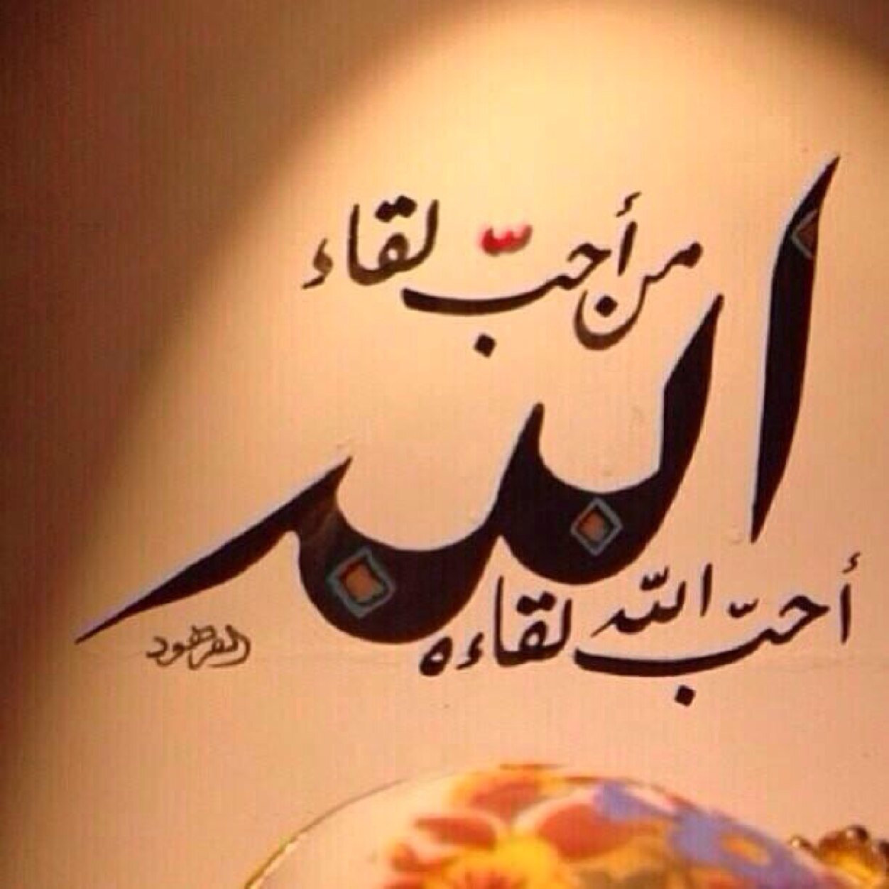 nono8188's profile picture. 