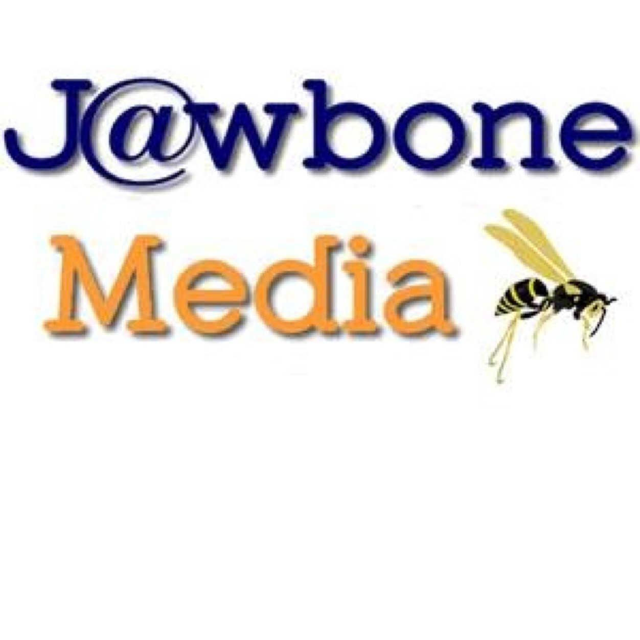 At Jawbone Media we provide web design, web hosting, VPS, dedicated servers and online marketing advice.