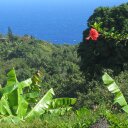 Max Moldovan - @MaxMoldovan - Twitter