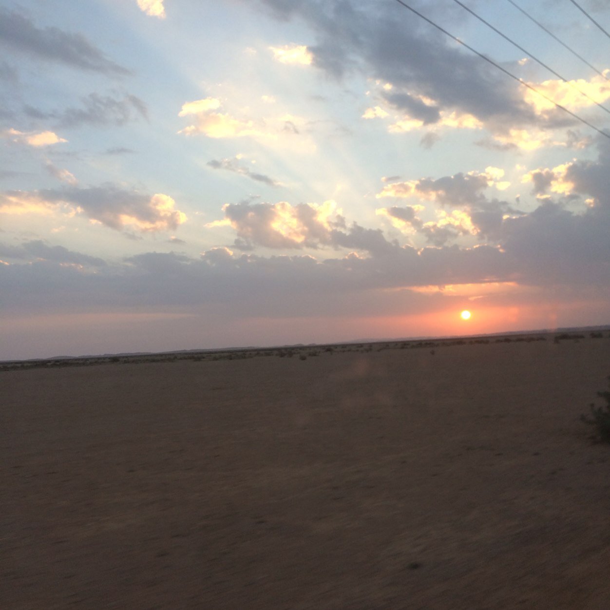 nony949's profile picture. 