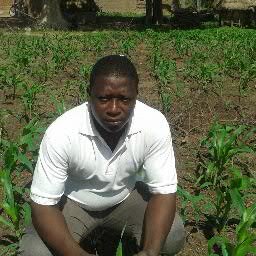 kalconsulting11's profile picture. 