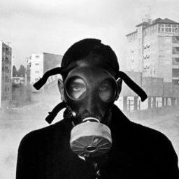 knd888's profile picture. common sense is not common