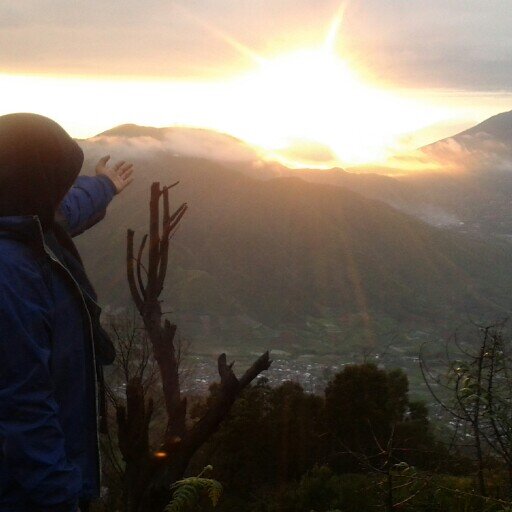 MuslimahBiru's profile picture. wanna be real MUSLIMAH BIRU