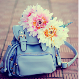 Minipackage12's profile picture. a href=http://t.co/hxDk605Tczmini backpack/a