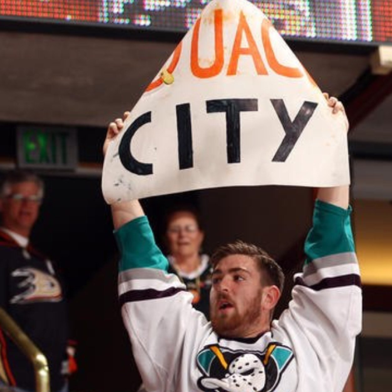 Anaheim Ducks fan, Overall hockey fan, Entrepreneur. Founder: @_SendInTheTanks