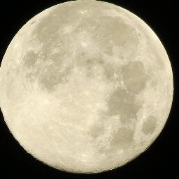 Amoled4's profile picture. .