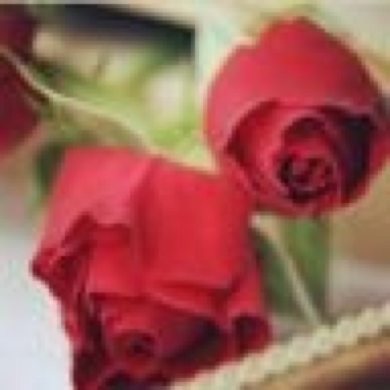 HasosHasys's profile picture. 