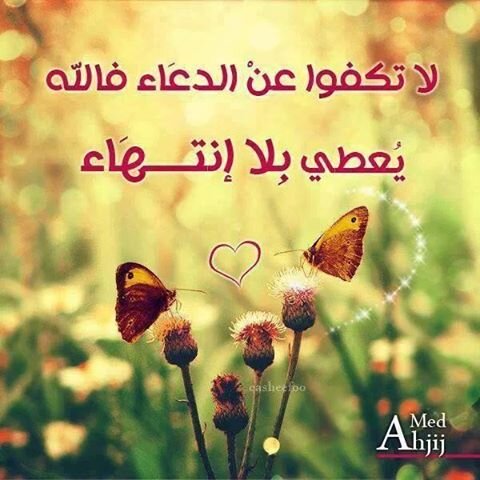 مدرس حاسب آلي