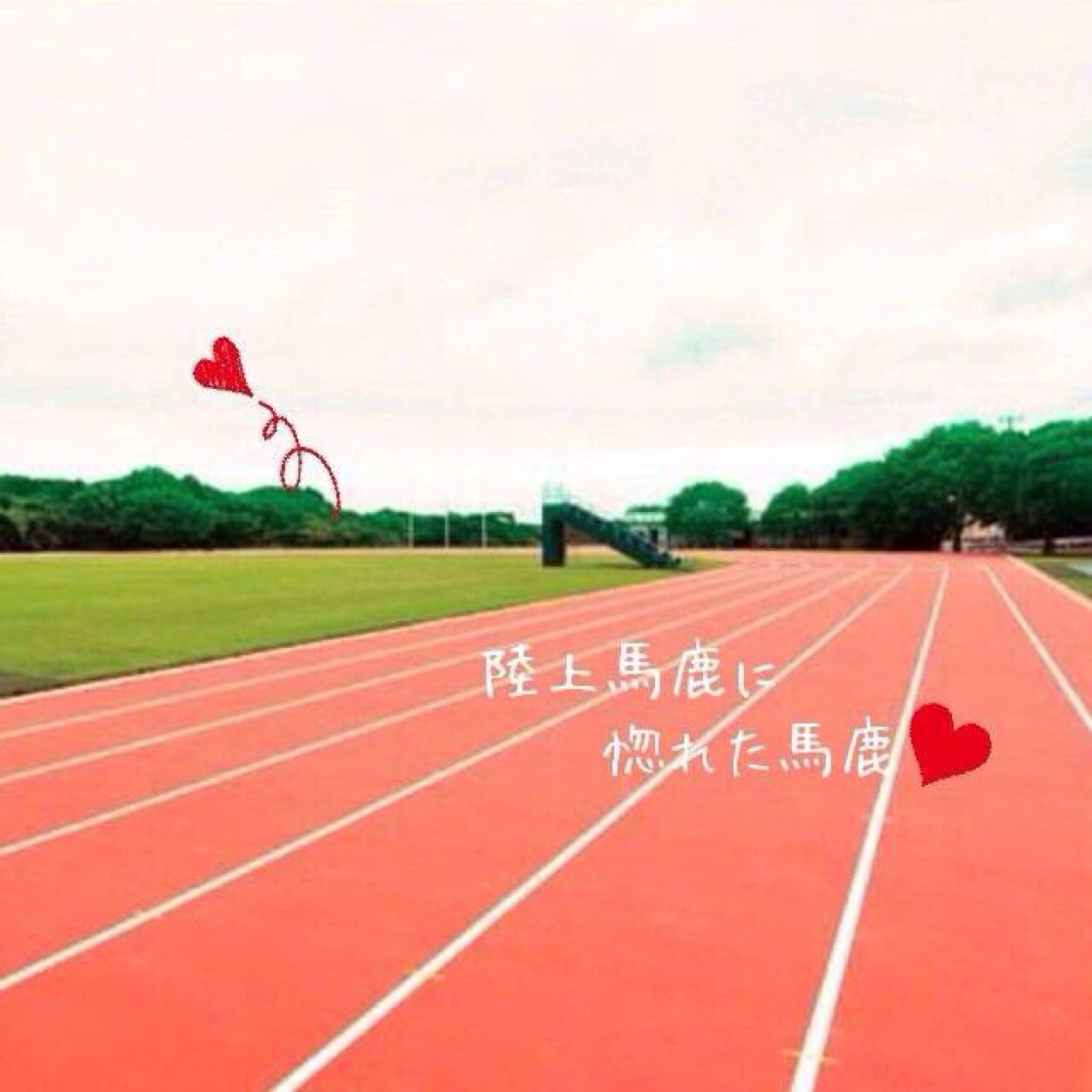 中野彩 Ay Twitter 中野彩 Ay Twitter