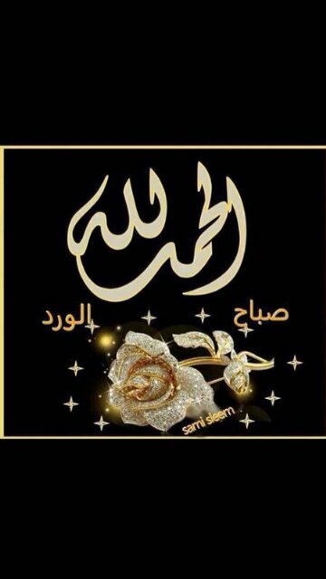 تفسير الأحلام وفق الشخصيه والواقع وعلاج بالقرأن الكريم وليس لدي شيء خارج القران وبدون مقابل