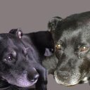 Ria Price - @Ria_Price - Twitter