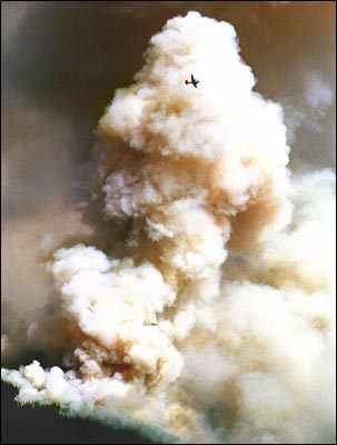 SuperHighTweet's profile picture. two dudes. we only post after tokin'. updates may be sporadic and incoherent.