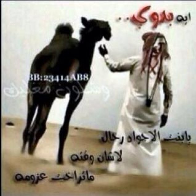 ‏الحمــــــامــــــــي