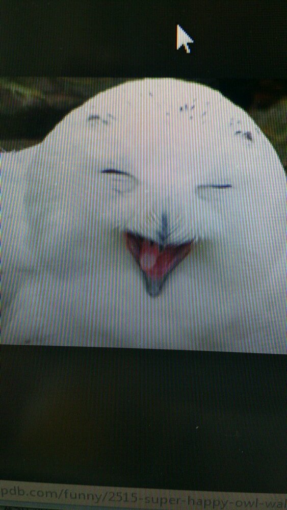 AlAlking26's profile picture. 