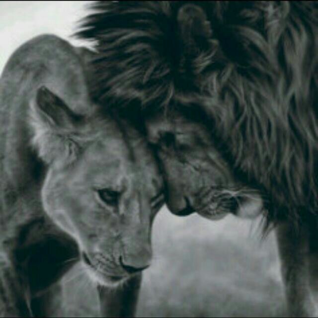 #Itti ♥
