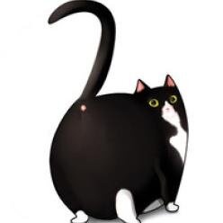 Je suis un chat qui Tweet ... Et Alors ? Mon humour peut être brulant. Il faut absolument le prendre au 3ème degré.