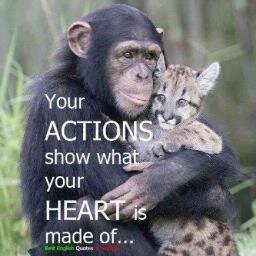 ANIMAL LOVER PASSIONATELY AGAINST ANIMAL CRUELTY. Raising Awareness for Animals /ADORE My Rescued Cats/LOVE Chaz Dean's WEN/Broadway Theater