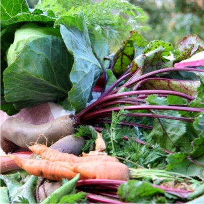 The Faringdon Country Market, Faringdon Tuesday Market & Faringdon Farmers Market offer a diverse collective of stalls selling fresh produce & crafts.