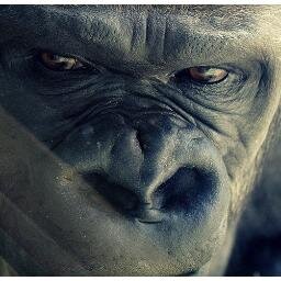 opfunkill_'s profile picture. #OpFunKill #OpBeneful #AnimalRights