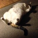 Anna Weston - @ap_weston - Twitter