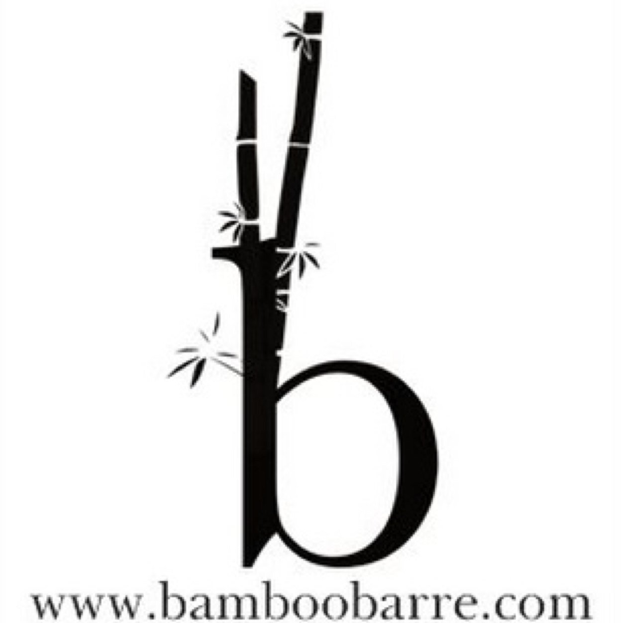 bamboobarre's profile picture. be happy.be healthy.be bendy.be better.bamboo barre