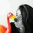 Dream2777's profile image