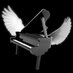 PIANOSERVEI (@pianoservei) Twitter profile photo PIANOSERVEI (@pianoservei) Twitter profile photo