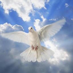 lovekoduah's profile picture. 