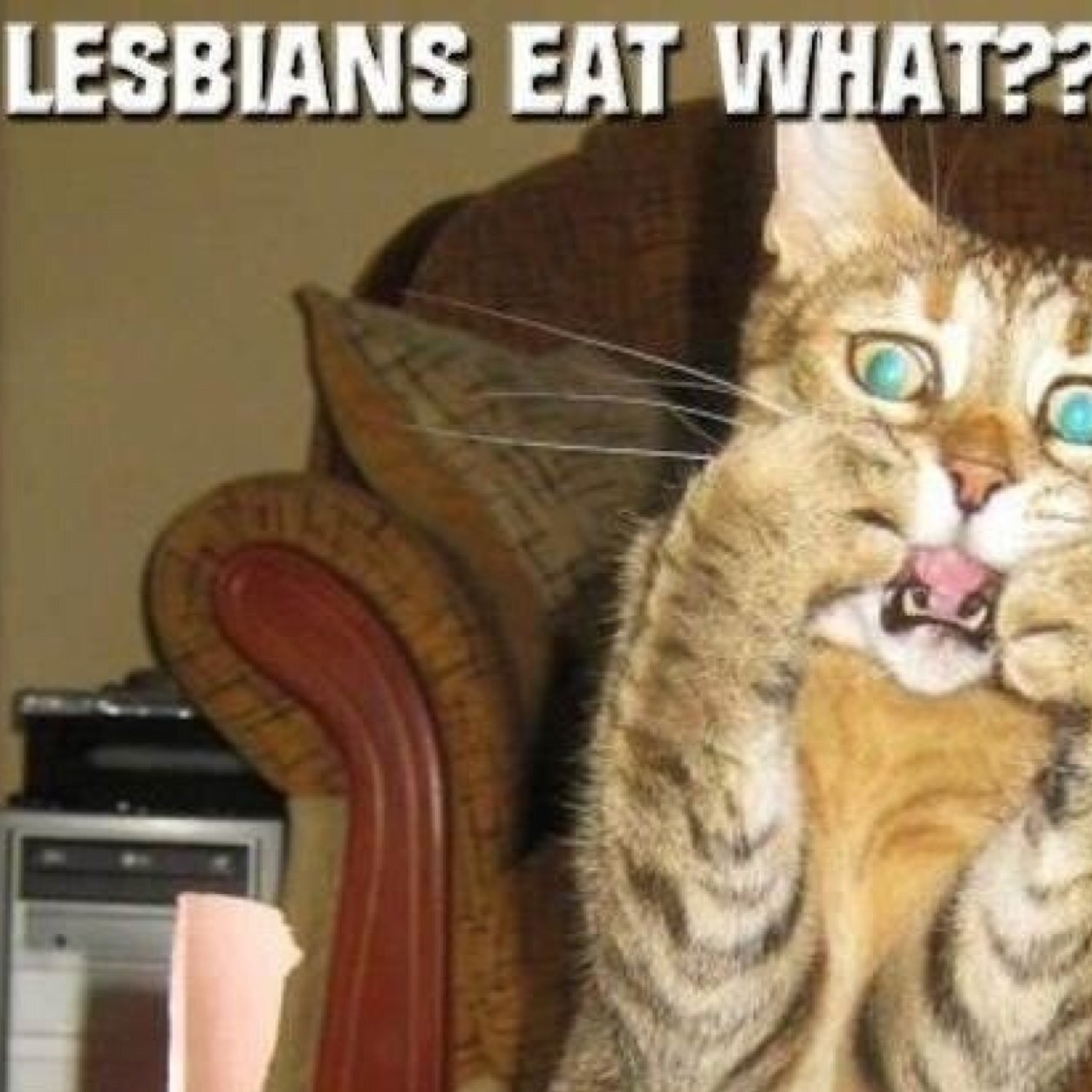 Gazelle9768's profile picture. 40 something pagan trucker, love NHL hockey, BWFC & rock music.
Fun & flirty,  #swinger, strictly 18+ NSFW