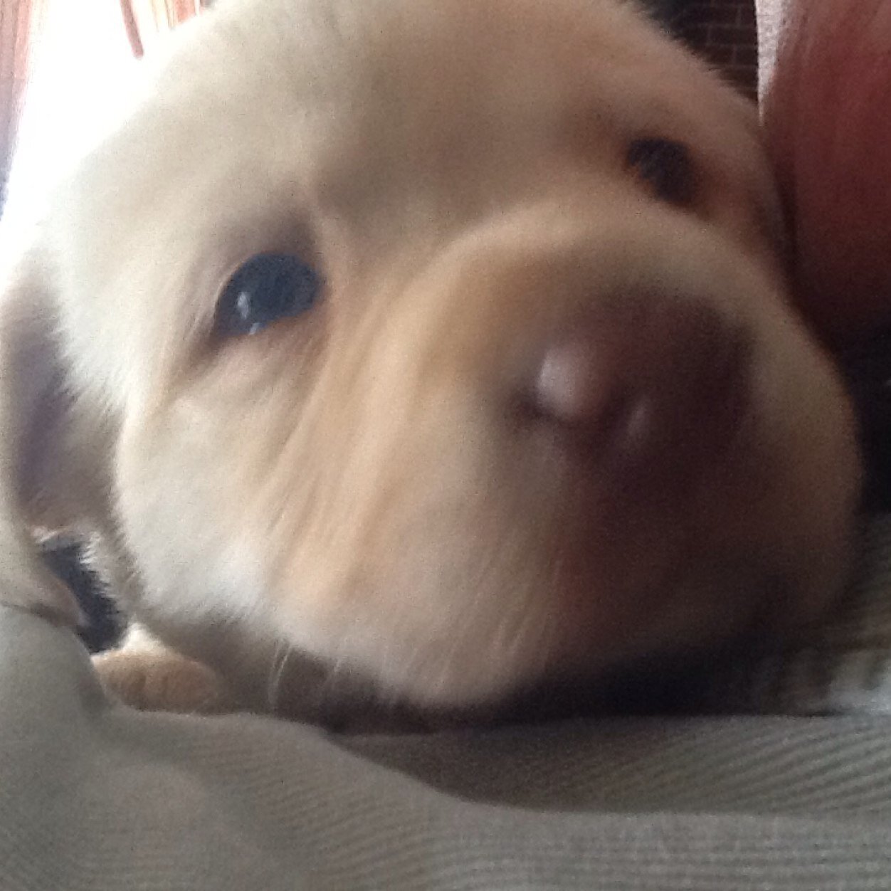 das_debbie's profile picture. 