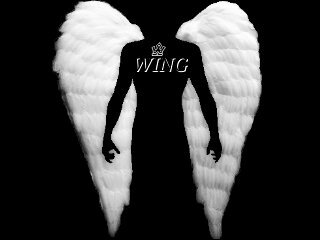 We are @official_wing Rock \m/ | @rimbunmysrh (Vocalist) @ryanddiiesterz (Guitar I) Dani (Guitar II)  @opangopal (Drum) CP : 759257E4