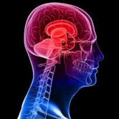 City University London - PhD Student in Health Psychology. Cancer & Cognition. is chemotherapy related to cognition?