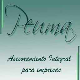Asesoramiento Profesional e Integral para Empresas.