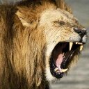 dan avram - @Danyavram - Twitter