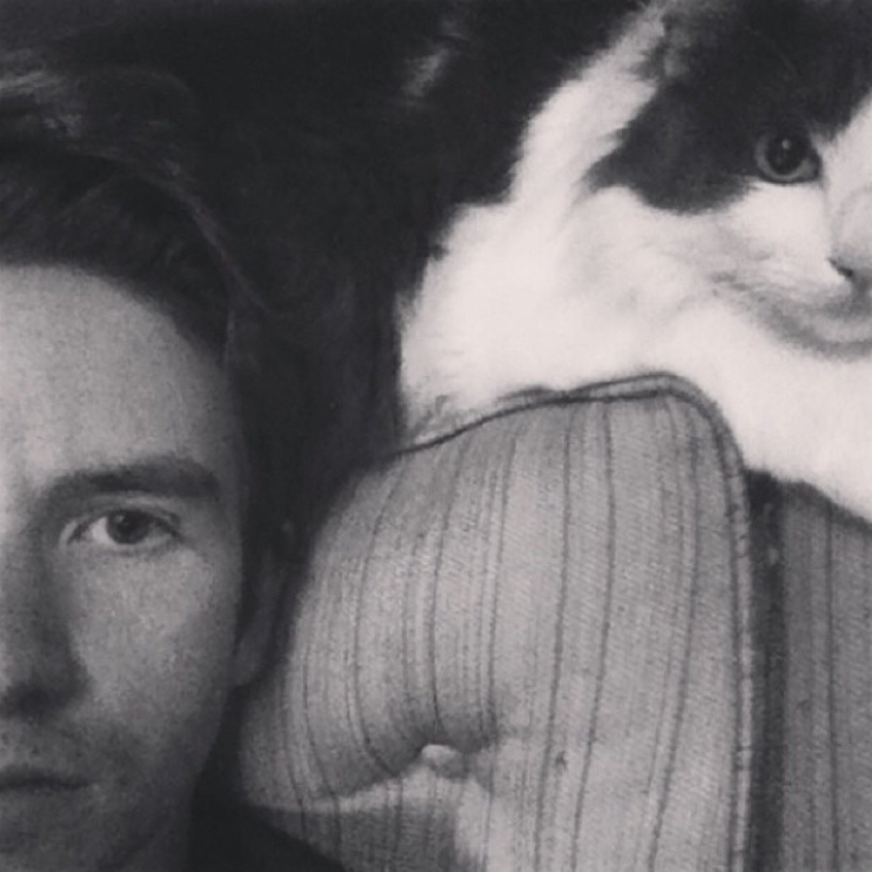 Lighting director | Designer | Cat Dad |