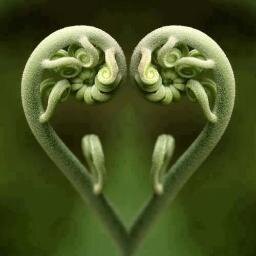 ruthannpurchas1's profile picture. Red Wriggler Worm Farmer; Culture Coach; Founder Friends of Lenape Everywhere; Lenape Language Restorationist