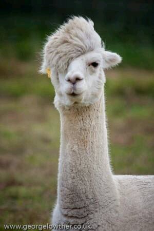 nobuchiko173's profile picture. 人生迷走。。。