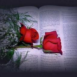 Mensagens bíblicas que transmitem amor e paz,pois,nos dias de hoje toda palavra divina será bem vinda,chega de violência.Muita paz nos corações.Amém