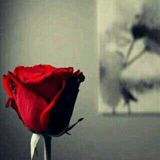 SumiUzi's profile picture. ‏لا تقنطوا من رحمة الله.....    doha..