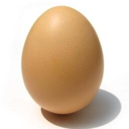 hey. I'm Justin's egg and I got thrown against his neighbor's house. Now I'm famous. Be jealous!