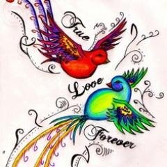 rt$ & follow . . . . !f u l!ke my tweet$ . . . .