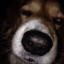 Mandy Schilling - @msbubbles1966 - Twitter