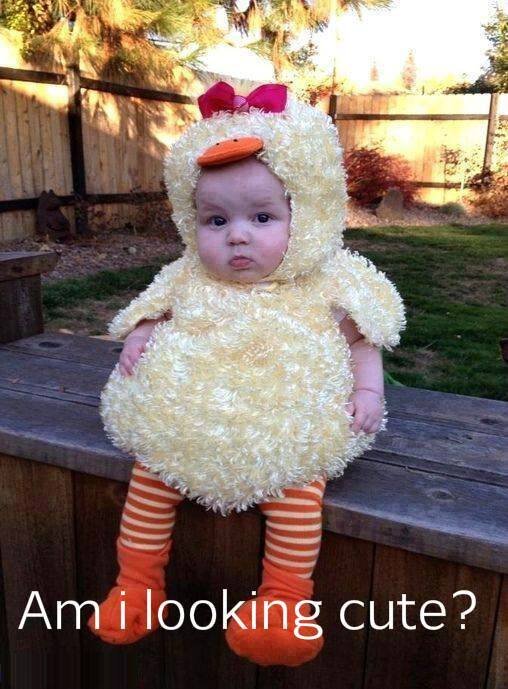 hadiakhan939's profile picture. 