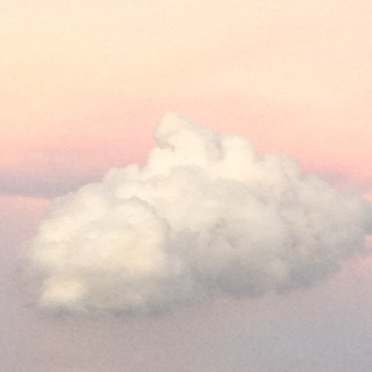 MaureenCLewis's profile picture. Just trying to keep up with what's going on!  Looking into the windshield and not the rearview mirror!!