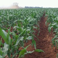 Willie Groenewald (@williegroen) 's Twitter Profile