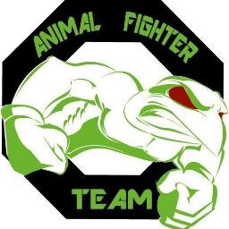 Academia de MMA, Capoeira, Acondicionamiento Físico, tonificación, perfeccionamiento cardío, todo lo relacionado con los deportes de contacto.