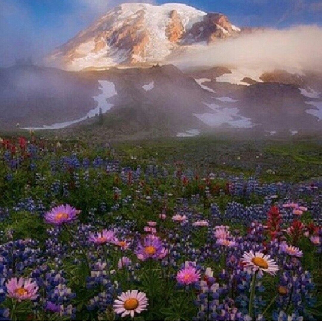‏رَبي اگتبّ لنْا أيامًا جَميلہ ... اسّعدنْا بتَفاصِيلہا ... واغمُرنْا بخّيرگ الذِي لٱ يُفنْى ...••