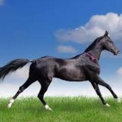 #FollowBack, #FollowMe, #ВзаимныйФолловинг, #ЧитаюВзаимно. #ДавайПофолловимся,#АналитикаФорекс,#НовостиФорекс,#ТорговлянаФорекс,#DEEX